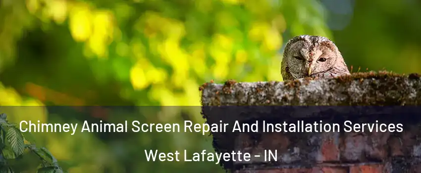  Chimney Animal Screen Repair And Installation Services West Lafayette - IN